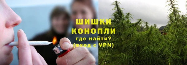 apvp Арсеньев