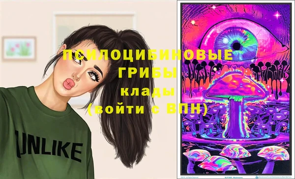 ГАЛЛЮЦИНОГЕННЫЕ ГРИБЫ Аркадак