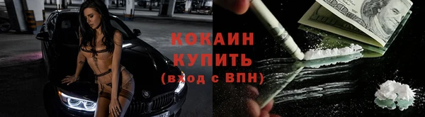 apvp Арсеньев