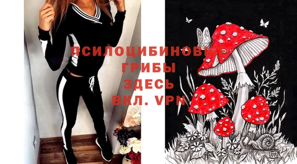 apvp Арсеньев