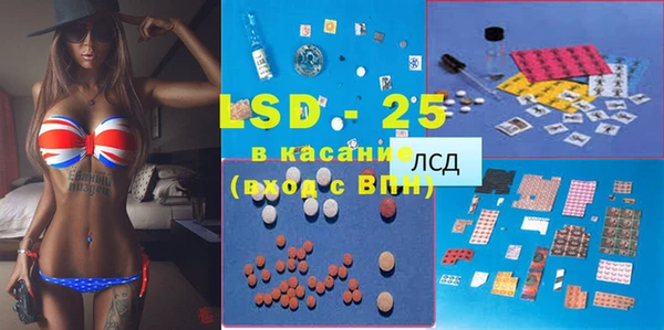 ГАЛЛЮЦИНОГЕННЫЕ ГРИБЫ Аркадак