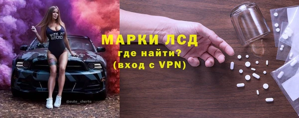 ГАЛЛЮЦИНОГЕННЫЕ ГРИБЫ Аркадак