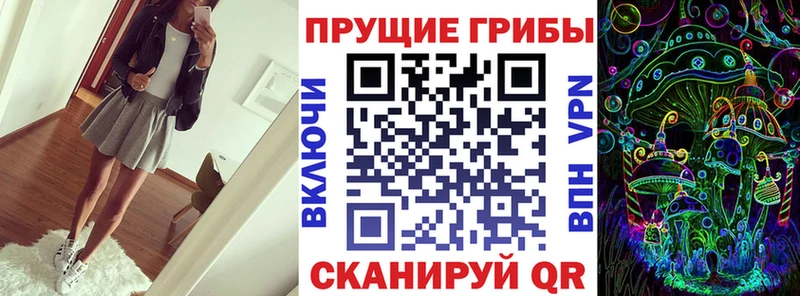 Псилоцибиновые грибы Magic Shrooms  Бабаево 